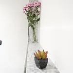 White Flat In Center By Rent * コモ