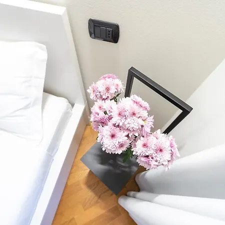 Apartment White Flat In Center By Rent